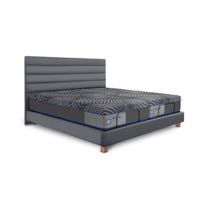 Cama Ajustable Rio Golden Boston Medium