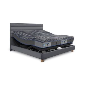 Cama Ajustable Rio Golden Boston Medium