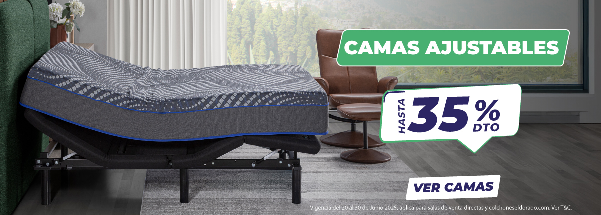 ofertas-camas-electricas